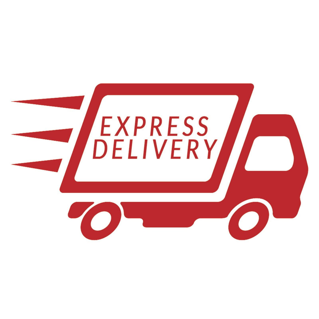 Express Delivery - TheIceClub